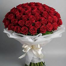Букет 101 Красная роза Блэк Мэджик в Урени