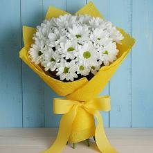 Букет цветов из:  Хризантемы #REPLACE_PRED# Урени