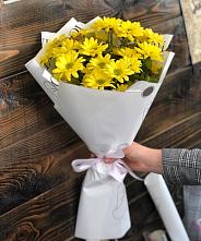 Букет цветов из:  Хризантемы #REPLACE_PRED# Урени