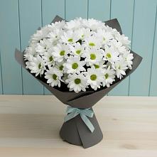 Букет цветов из:  Хризантемы в Урени