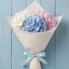 Букет цветов из:  Гортензия в Урени