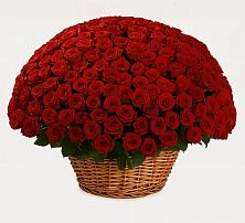 Премиум букет из: Розы в Урени